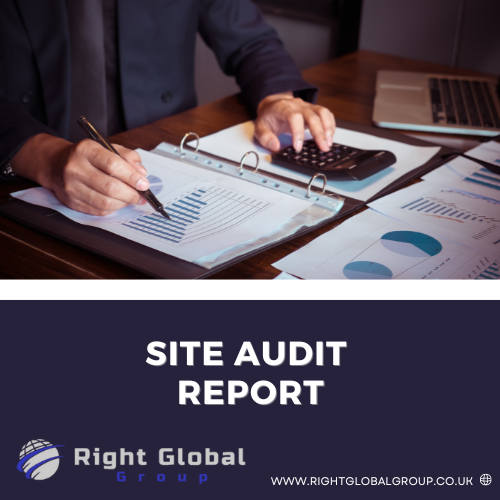 Site Audit Report