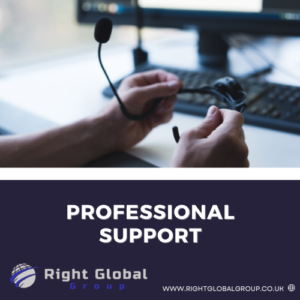 Professional Support